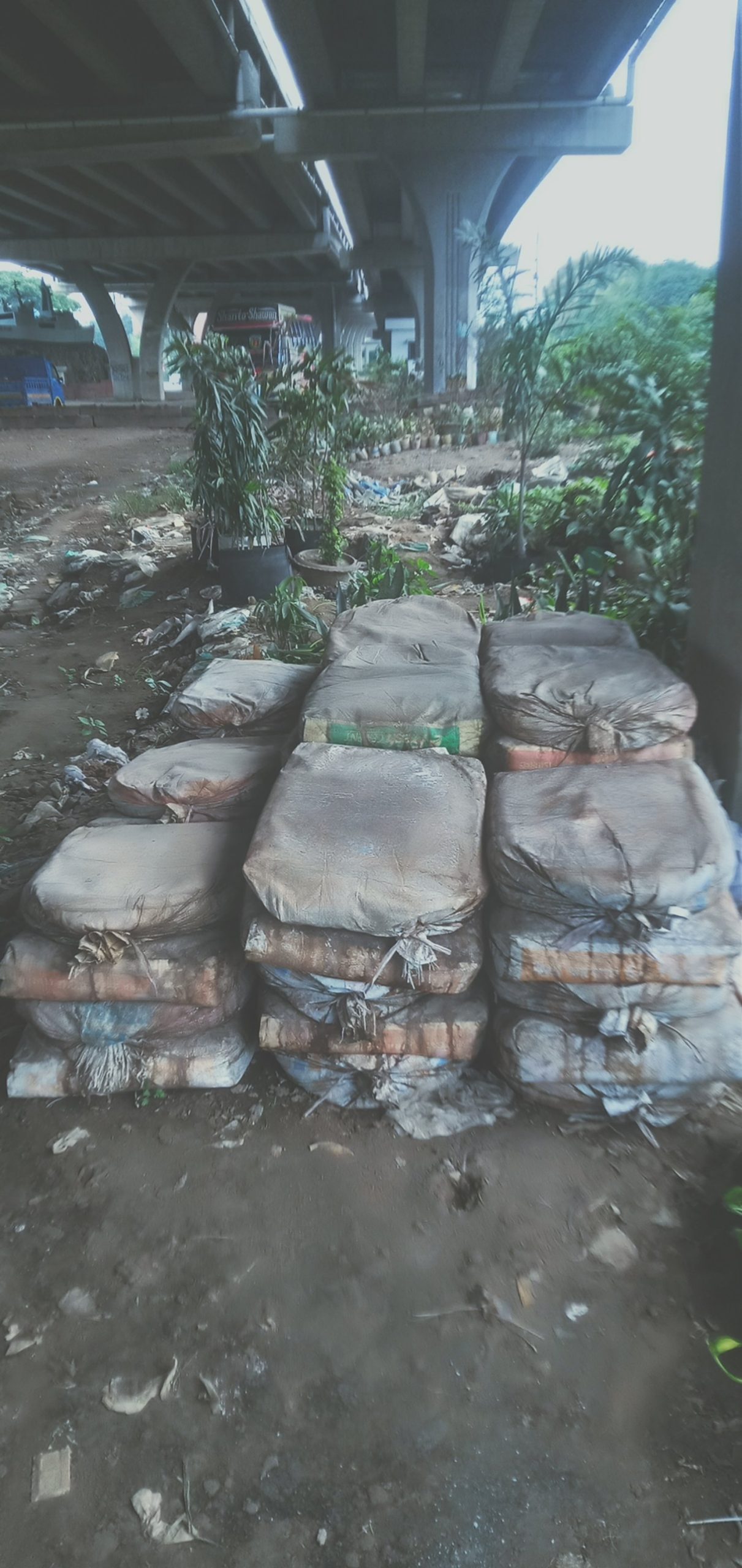 গোবর সার।
ধরন। সার,
পরিমাণ। ০১ বস্তা, মাটির সাথে মিশিয়ে গাছ রোপণ করতে হয়, - Image 3