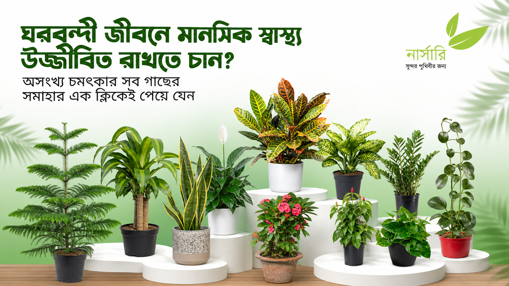 Aamar Nursery