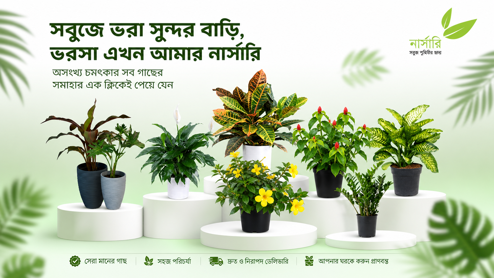 Aamar Nursery Plants