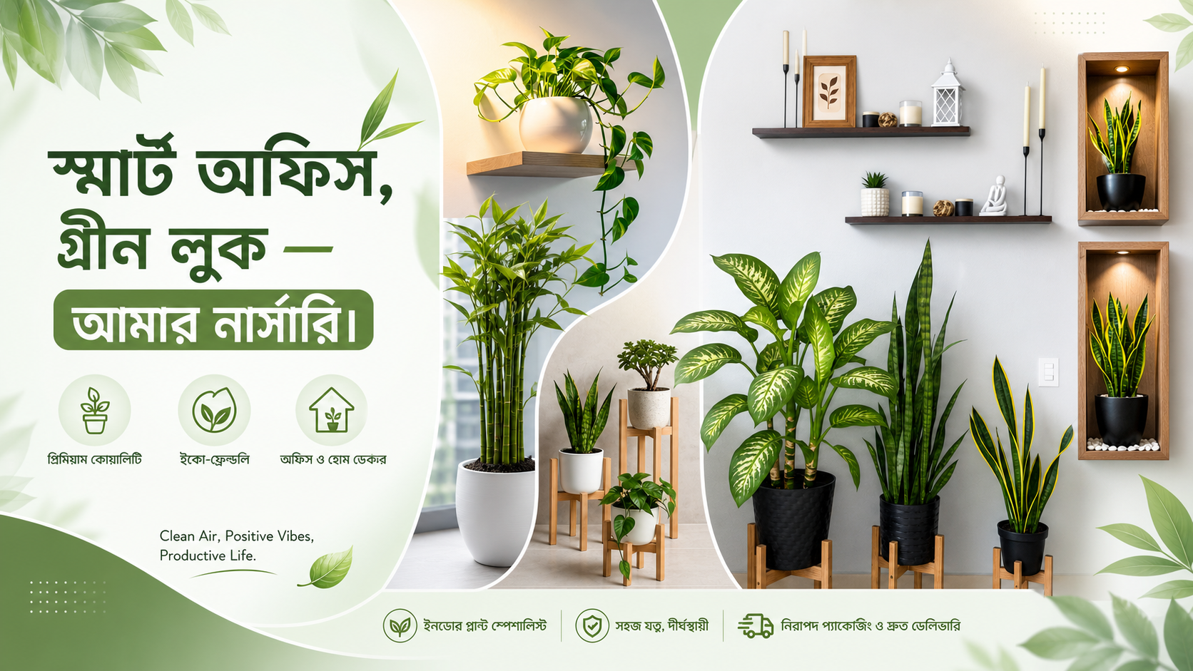 Aamar Nursery Plants
