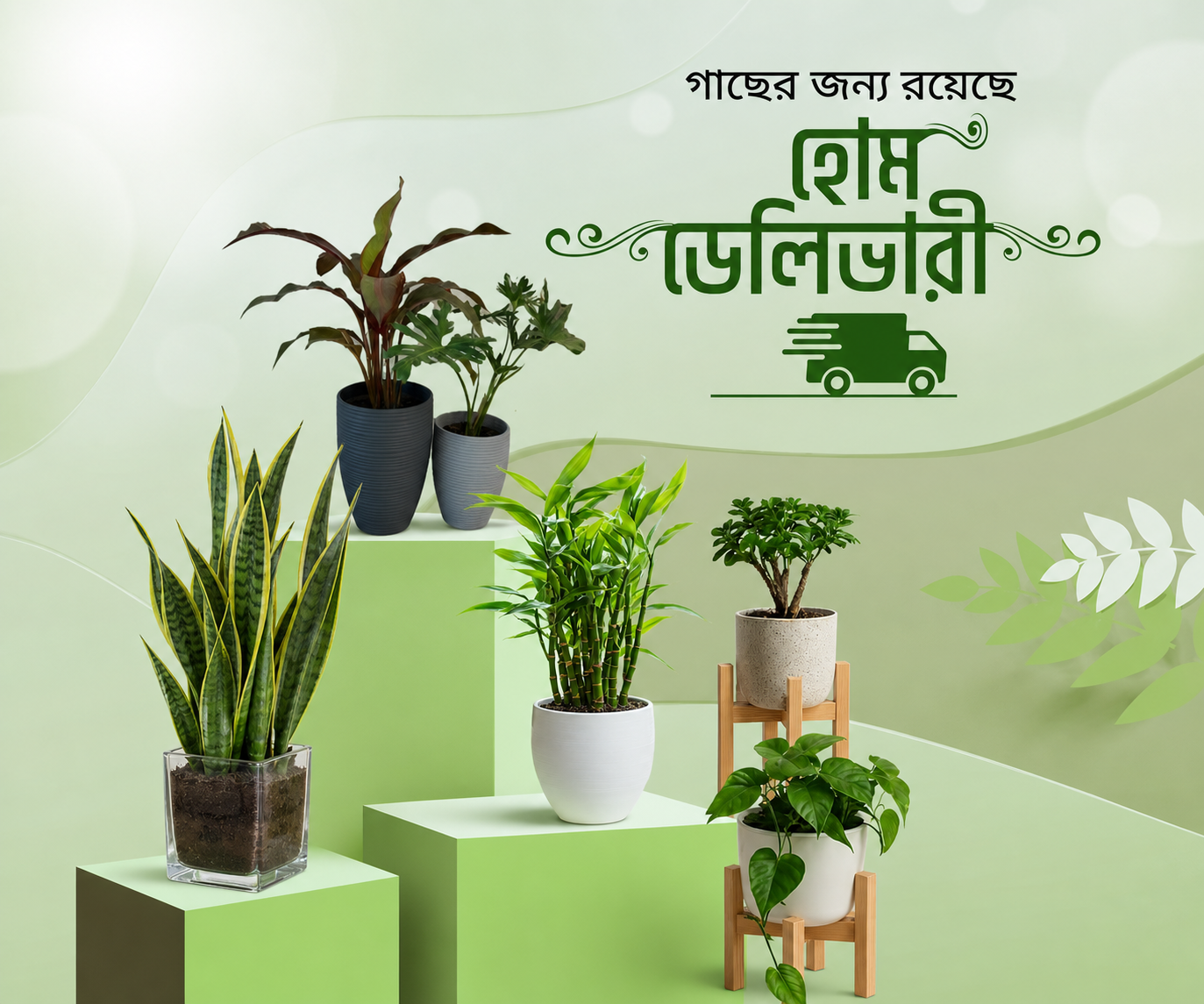 Aamar Nursery Plants