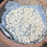 পাথর। ০১ কেজি,
ধরন। বাগান ও গাছ পালার জন্য,
সাইজ। ১ ইঞ্চি, সাদা রঙের টেপ খাওয়া,