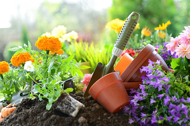Gardening services and plant care